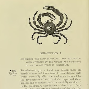 1885 Palmistry Manual. Antique DIGITAL BOOK Instant Download. Fortune telling palm reading guide