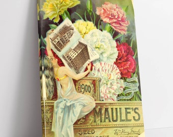 vintage flower seed wall art canvas picture print wall hanging