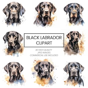 Black Labrador Clipart - 30 High Quality JPGs - Digital Crafts, Scrapbooking, Watercolor Clipart -Commercial Use -Instant Download
