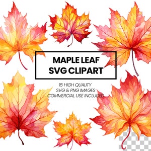 Op de afbeelding: Een set van 15 hoogwaardige SVG- en PNG-afbeeldingen van esdoornbladeren in verschillende tinten rood, oranje en geel. De afbeeldingen zijn perfect voor knutselen, scrapbooking en andere creatieve projecten.  "Maple Leaf SVG Clipart" staat in zwarte tekst op een witte rechthoek.