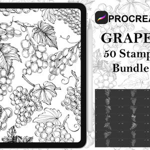 Könnte beinhalten: Eine digitale Illustration eines Procreate-Stempelpakets mit 50 Schwarzweiß-Zeichnungen von Trauben. Das Bild zeigt eine Vorschau der Stempel auf weißem Hintergrund und ein Raster aller 50 Stempel auf schwarzem Hintergrund.