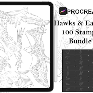 Op de afbeelding: Een digitale illustratie van een Procreate-app-pictogram met de tekst "Hawks & Eagles 100 Stamps Bundle". De afbeelding toont een verzameling van 100 stempels met verschillende haviken- en adelaarsontwerpen.