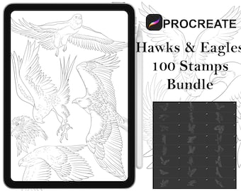 Procreate - 100 Hawks and Eagles Tattoo Stamps, Hand drawn and digitized Images & Design Fineline Stamps - Commercial Use, Procreate Brushes