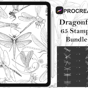 Op de afbeelding: Een digitale illustratie van 65 libellen-stempels voor Procreate. De afbeelding toont een verscheidenheid aan libellen-ontwerpen, waaronder sommige met ingewikkelde details. De stempels zijn perfect om een vleugje natuur aan je digitale kunst toe te voegen.