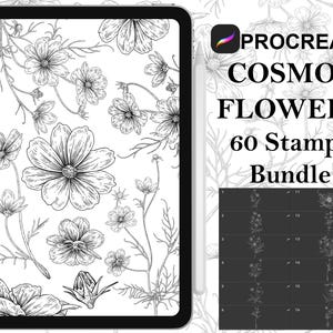 May include: A digital illustration of 60 cosmos flower stamps for Procreate. The image shows a black and white illustration of cosmos flowers on a white background. The text "Procreate Cosmos Flowers 60 Stamps Bundle" is displayed on the right side of the image.