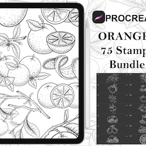 May include: A black and white digital illustration of oranges and orange peels on a branch. The image is on a tablet screen with the text "Procreate" and "Oranges 75 Stamps Bundle" on the screen.