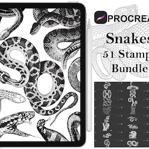Op de afbeelding: Een digitale illustratie van 51 slangen stempels voor Procreate. De stempels zijn zwart-wit en bevatten verschillende slangontwerpen. De afbeelding toont een voorbeeld van de stempels op een zwarte achtergrond.