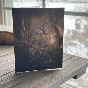 Handgemaakte notitiekaart / notitiekaarten uil / gestreepte uil /donker / fotografie-notitiekaarten / Iowa gemaakte notitiekaarten / dieren in het wild
