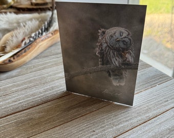 Handmade note card / Owl note cards / Barred Owl /Dark / Photography note cards / Iowa made note cards / Wildlife