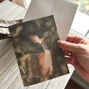 Biglietti di auguri fatti a mano / Biglietti di auguri con cervi / Cerbiatto / Biglietti di auguri economici / Biglietti di auguri con fotografie / Biglietti di auguri realizzati in Iowa / Biglietti di auguri con animali selvatici