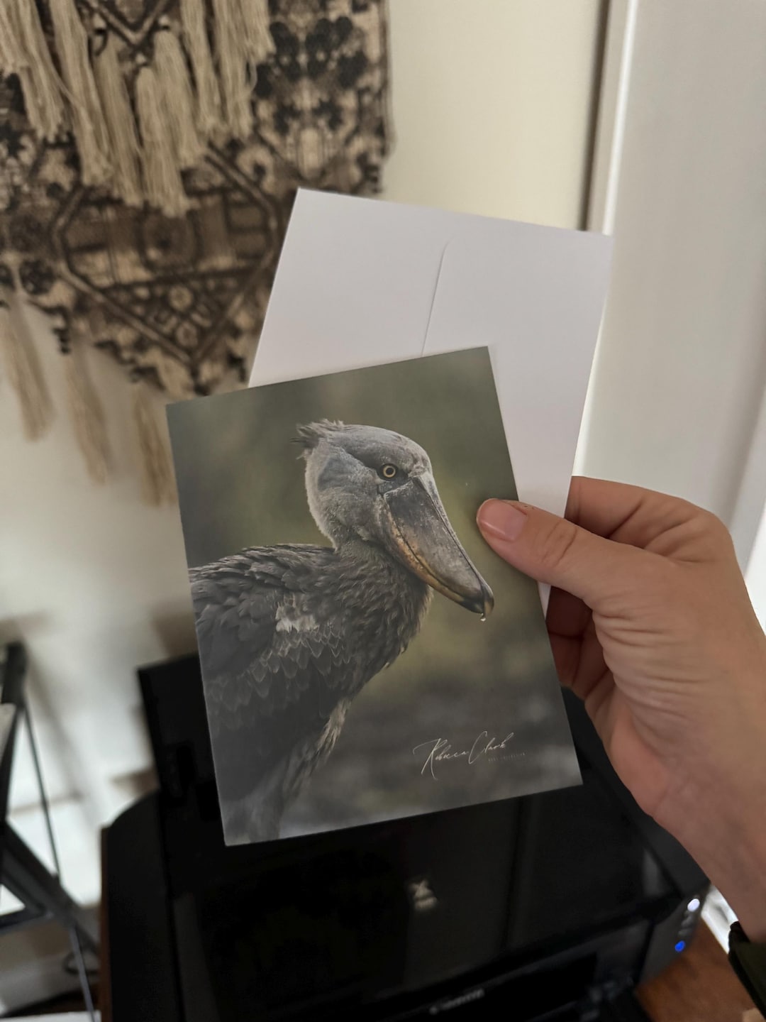 Handmade Note Card / Shoebill Note Cards /affordable Note Cards ...