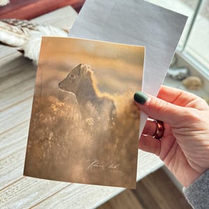 手作りのノートカード / ビッグホーンシープのノートカード / お手頃価格のノートカード / 写真のノートカード / アイオワ産のノートカード / 野生動物のノートカード