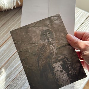 Tarjetas de notas hechas a mano / Tarjetas de notas de búho / Búho gris / Tarjetas de notas de fotografía / Tarjetas de notas hechas en Iowa / Vida salvaje