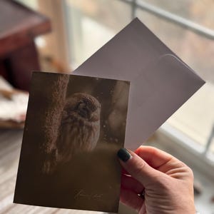 手作りのノートカード / フクロウのノートカード / シロフクロウ / ダーク / 写真のノートカード / アイオワ州産のノートカード / 野生動物