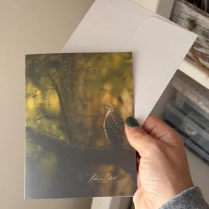 手作りのノートカード / タカのノートカード / お手頃価格のノートカード / 写真のノートカード / アイオワ産のノートカード / 野生動物のノートカード