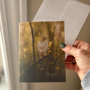 手作りのノートカード / タカのノートカード / お手頃価格のノートカード / 写真のノートカード / アイオワ産のノートカード / 野生動物のノートカード