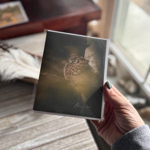 Handgemaakte notitiekaart / Notitiekaarten Uil / Boreal Uil /Dark / Notitiekaarten Fotografie / Iowa gemaakte notitiekaarten / Wildlife