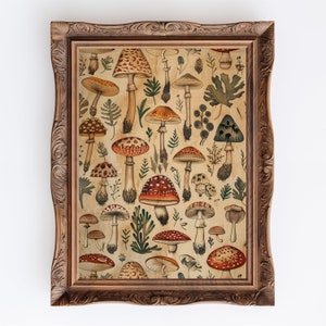 Mushrooms | Vintage Cottagecore Botanical Illustration, Light Academia Mushroom Decor, Nature Wall Art
