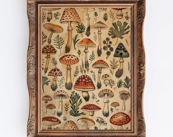 May include: A vintage framed print featuring a variety of mushrooms in different colors and shapes, including red, brown, and white. The mushrooms are depicted against a background of green leaves and stems.