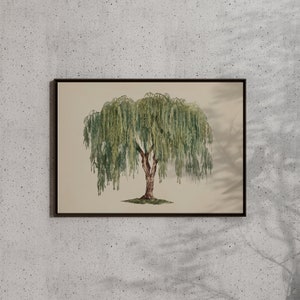 Tranquil weeping willow poster, blending effortlessly into goblincore decor with its enchanting, nature-inspired presence.