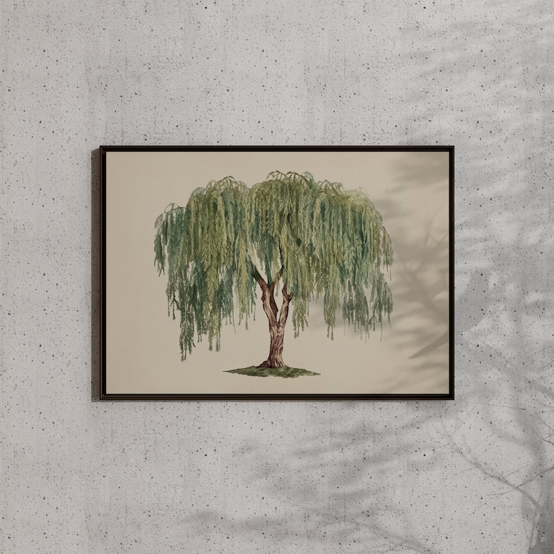 Tranquil weeping willow poster, blending effortlessly into goblincore decor with its enchanting, nature-inspired presence.