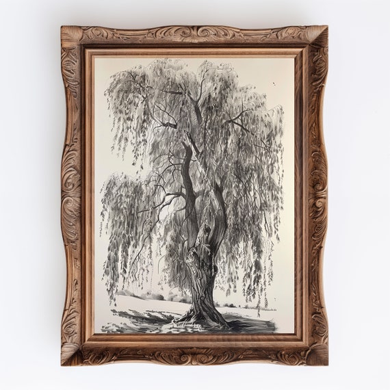 Rustic Neutral Willow Tree Sketch | Vintage Printable Wall Art