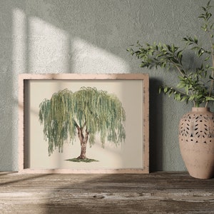 Large wall art showcasing the willow, a minimalist wall art piece that brings a tranquil green presence to any room.
