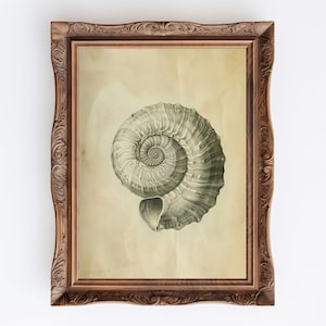 Vintage Shell Print: Nautical Ocean Wall Art (Downloadable)