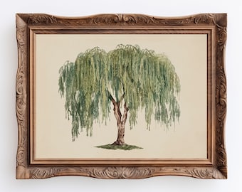 Willow | Antyczna wierzba ścienna, minimalistyczny botaniczny wydruk artystyczny z płaczącą wierzbą