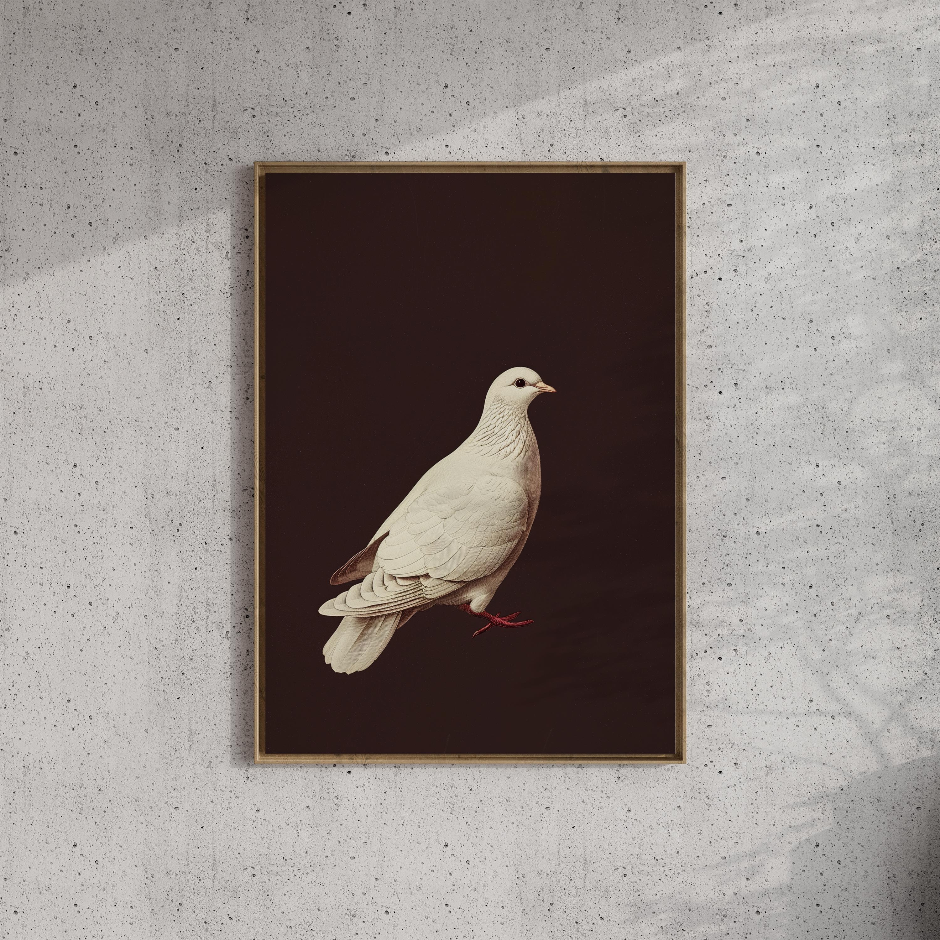 【激レア国内盤 帯付】one dove / morning dove white 激レア国内盤 帯付】one dove / morning dove white 激レア国内盤 帯付