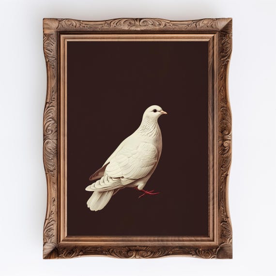 Dove Painting: Moody Bird Art Print, Dark Academia Decor (digital