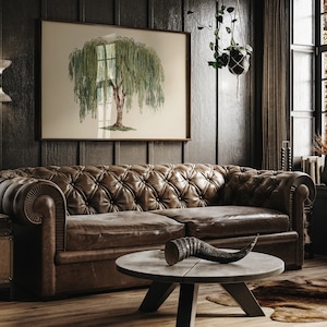 Antique tree artwork of a willow, perfect for adding a touch of the old European countryside to modern interiors.