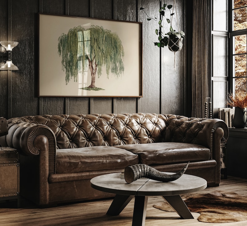 Antique tree artwork of a willow, perfect for adding a touch of the old European countryside to modern interiors.