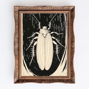 May include: A framed black and white illustration of a cockroach with detailed wings and legs. The illustration is set against a dark background and framed in a brown wooden frame.
