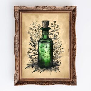 May include: A vintage-style illustration of a green glass bottle with a cork stopper, surrounded by botanical foliage. The bottle is filled with a green liquid and has a label with a stylized design. The illustration is framed in a brown wooden frame.