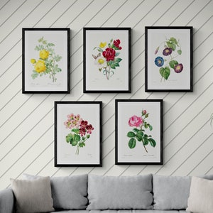 Set of 5 Pierre Joseph Redoute vintage retro botanical print design gallery wall set Printable wall art posters flower picture poster print