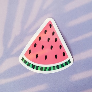 Watermelon Slice Sticker | Cute Fruit Sticker for Laptop | Aesthetic Water Bottle Decal | Melon Sticker | Food Sticker |  Gift for Baker |