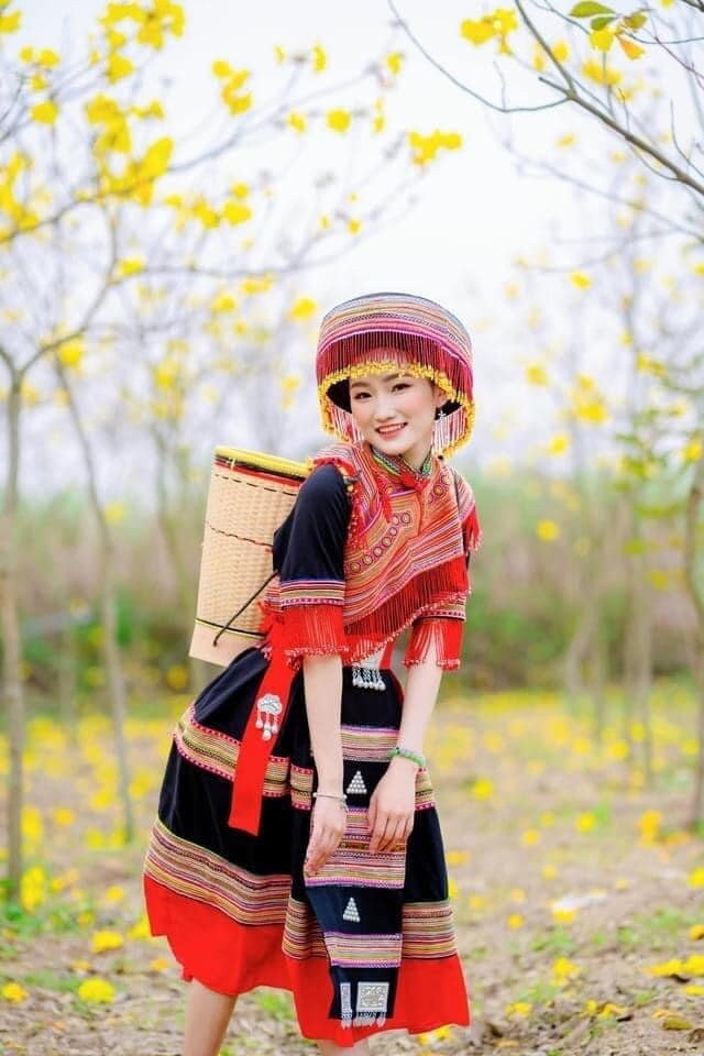 女性用モン族ドレス、民族刺繍のモン族服、山岳民族の手作りモン族衣装