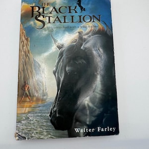 May include: A paperback book titled "The Black Stallion" with a dramatic cover illustration. The cover features a black horse's head, a figure on a beach, and the text "Shipwrecked with a wild stallion!" by Walter Farley.