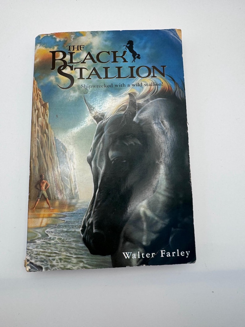 May include: A paperback book titled "The Black Stallion" with a dramatic cover illustration. The cover features a black horse's head, a figure on a beach, and the text "Shipwrecked with a wild stallion!" by Walter Farley.