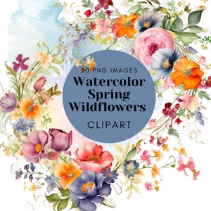 Watercolor Wildflower Clipart: Meadow Flowers PNG, Spring Graphics (Digital Download)