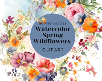 Watercolor Wildflower Clipart: Meadow Flowers PNG, Spring Graphics (Digital Download)