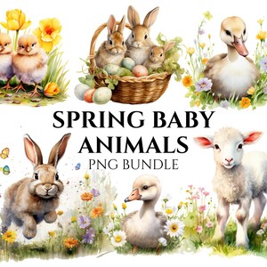 Easter Animals Watercolor Clipart: Spring PNG Graphics (Digital Download)