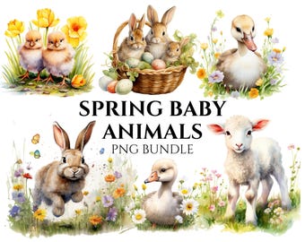 Aquarel clipart paasdieren: lente-png-afbeeldingen (digitale download)