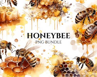 Aquarel honingbij clipart png-bundel: honingraatkunst (digitale download)