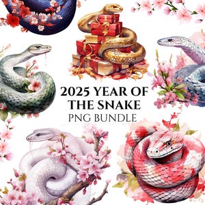 Lunar year 2025, Year of the Snake Clipart Bundle, Happy Chinese New Year PNG, Chinese Zodiac Card, Digital Download, Commercial Use