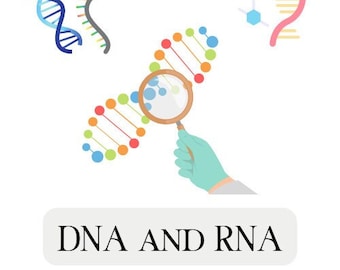 14 Moodle test exercises on DNA and RNA. Ready to use and fully customisable.