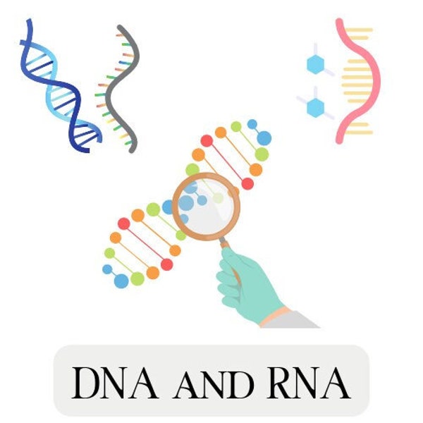 14 Moodle test exercises on DNA and RNA. Ready to use and fully customisable.