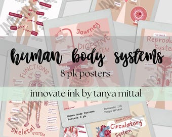 Human Body Systems Poster Set: Educational Science Classroom Art (Digital Download)