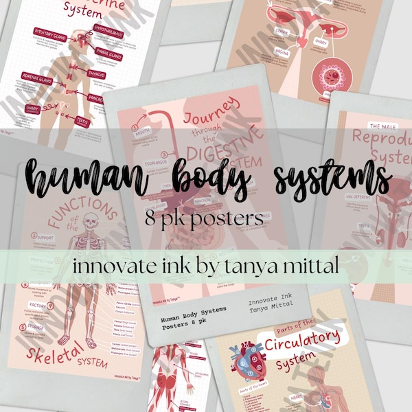 Body Systems Poster - Etsy